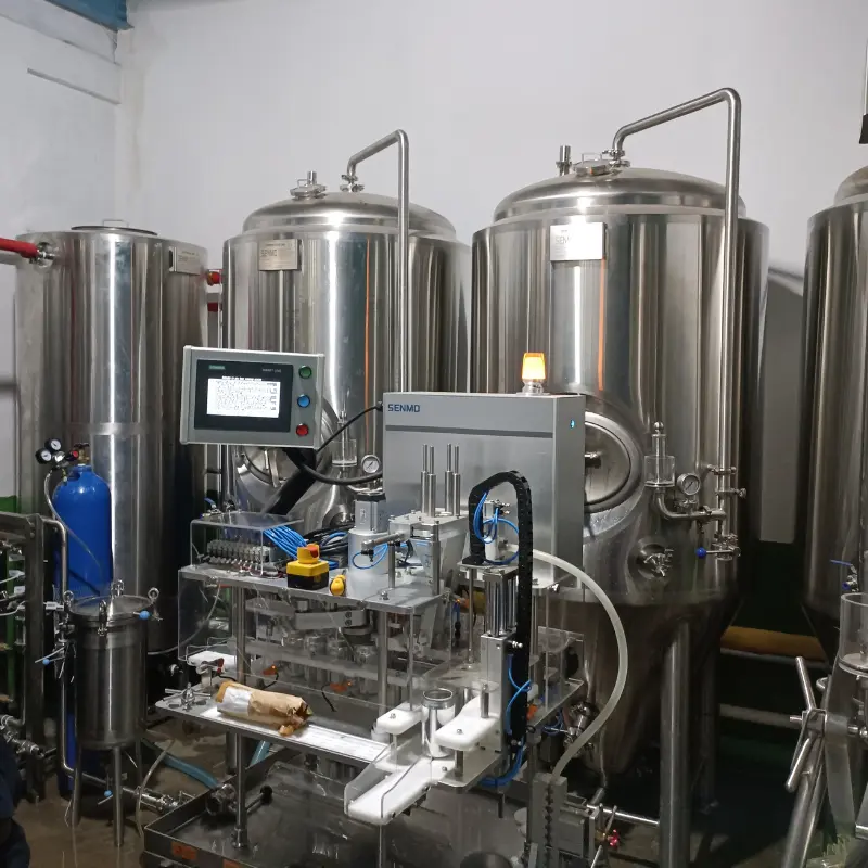 Microbrewery-setup.webp